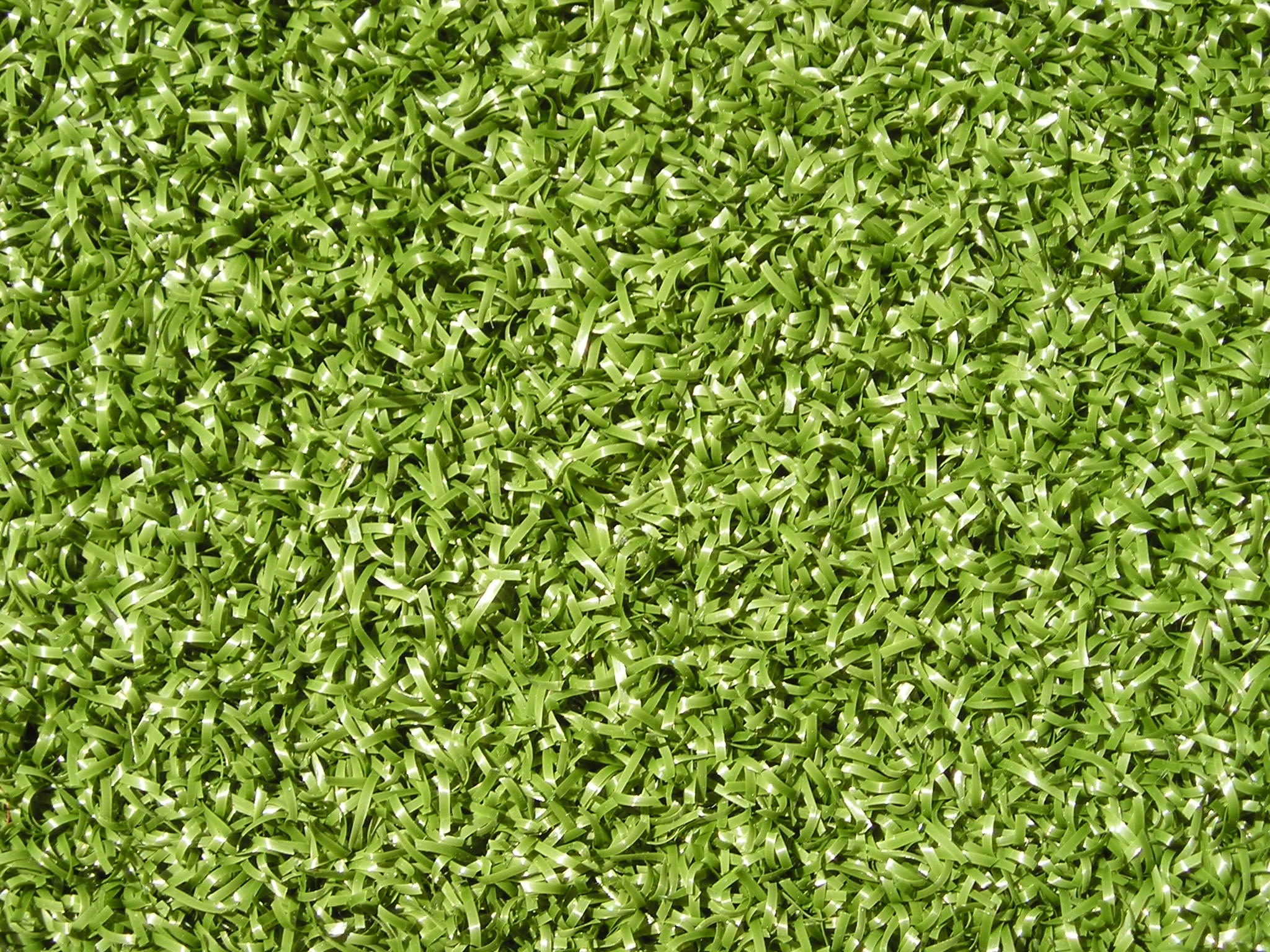 Nylon Putt Synthetic Putting Green